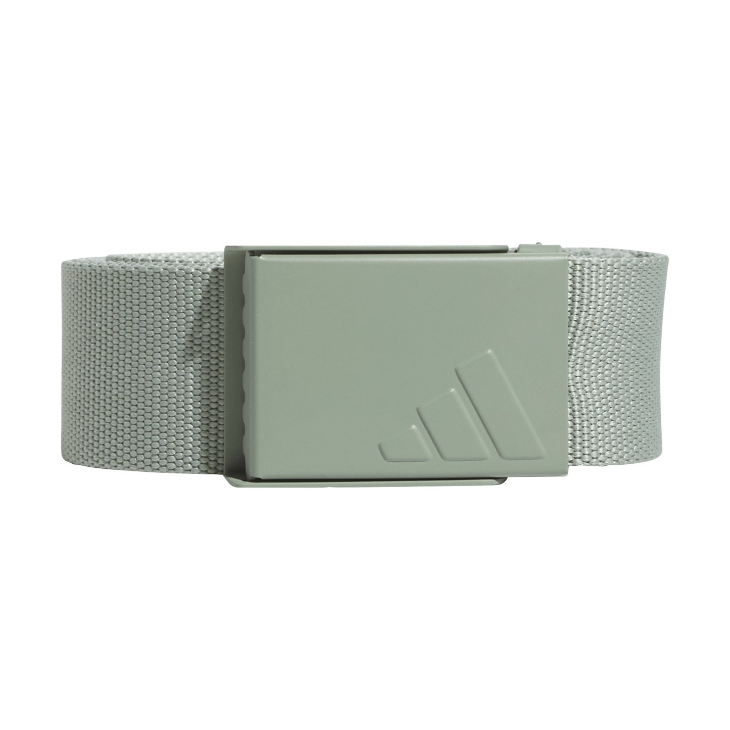Reversible Webbing Belt - Silver Green S23 / Wonder Silver F23