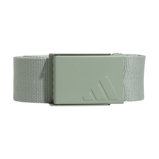 Reversible Webbing Belt - Silver Green S23 / Wonder Silver F23