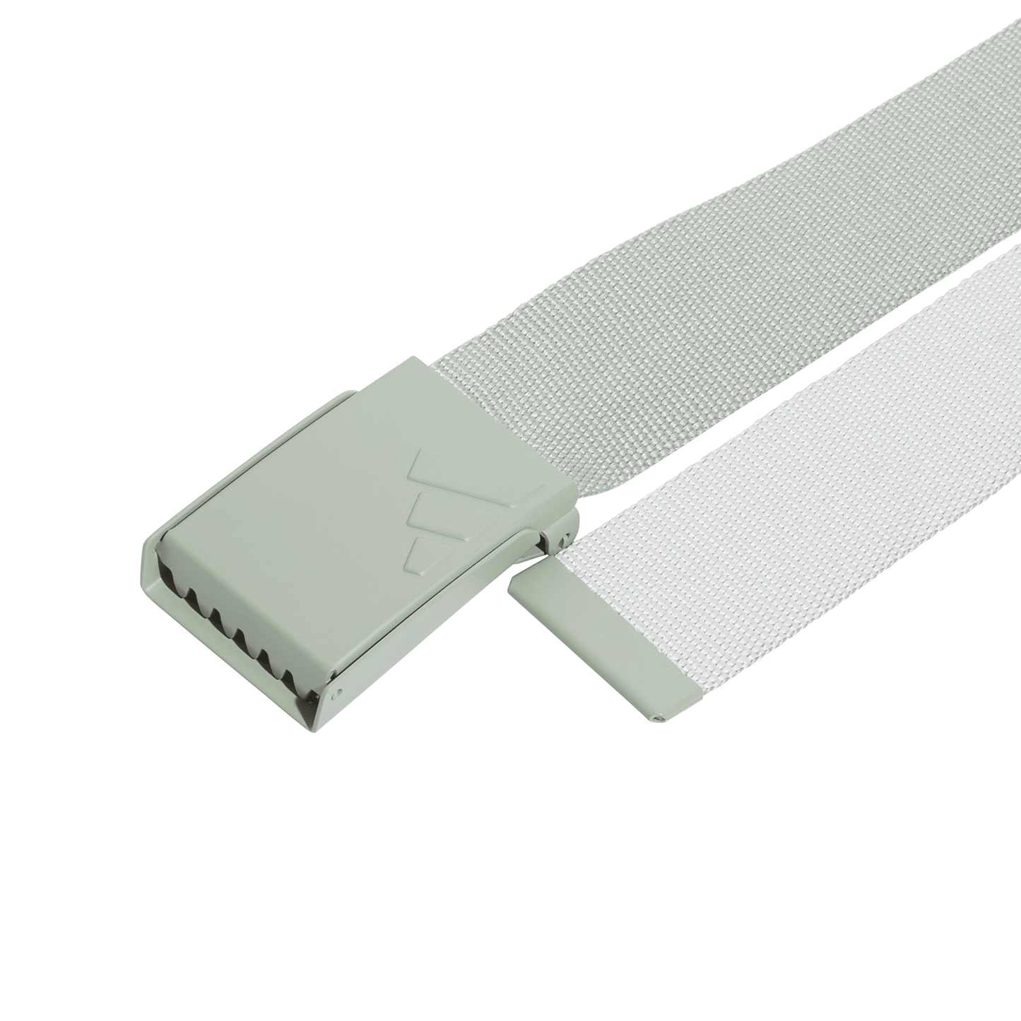 Reversible Webbing Belt - Silver Green S23 / Wonder Silver F23