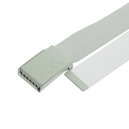 Reversible Webbing Belt - Silver Green S23 / Wonder Silver F23