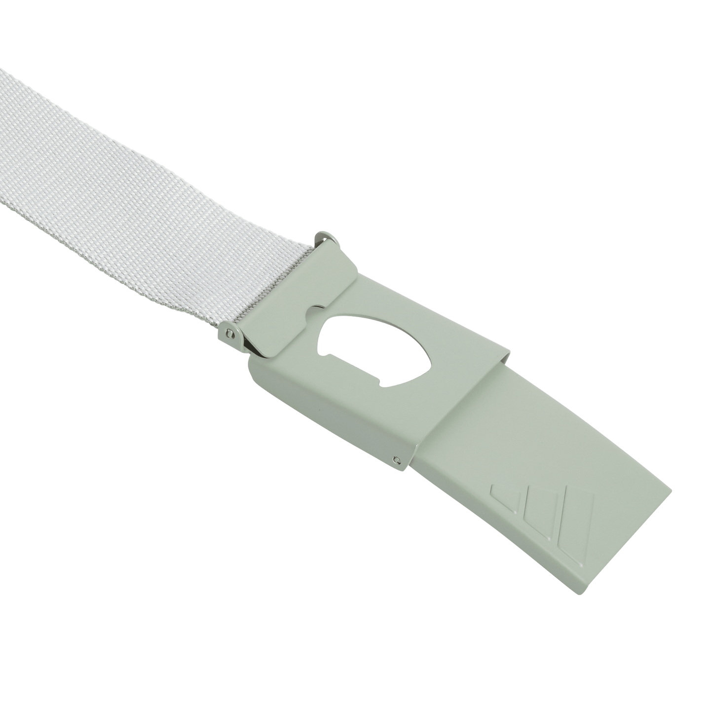 Reversible Webbing Belt - Silver Green S23 / Wonder Silver F23